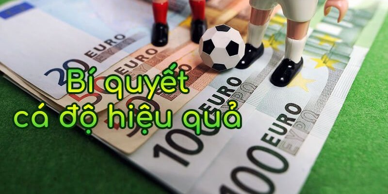 Thể thao 789win bật mí bí quyết cá độ hiệu quả