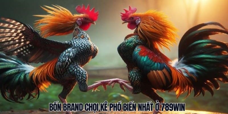 Bốn brand chọi kê phổ biến nhất ở 789Win