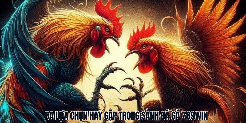 Ba lựa chọn hay gặp trong sảnh đá gà 789Win