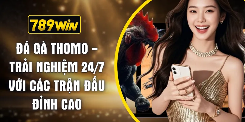 Đá Gà Thomo - Trải Nghiệm 24/7 Với Các Trận Đấu Đỉnh Cao