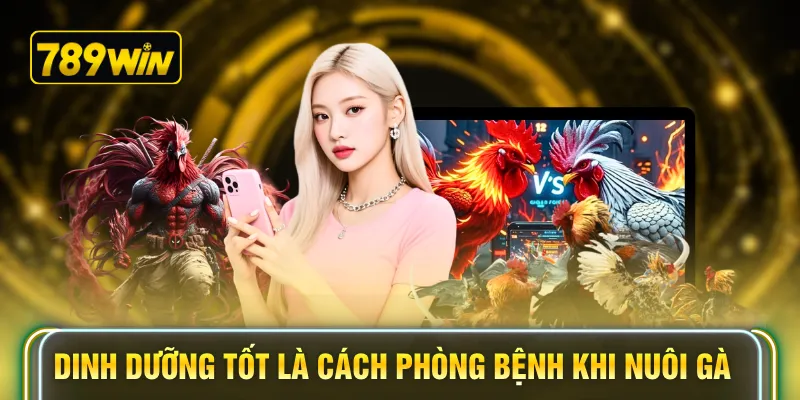Dinh dưỡng tốt là cách phòng bệnh khi nuôi gà