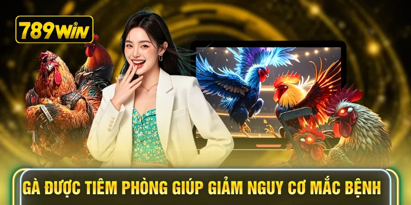 Gà được tiêm phòng giúp giảm nguy cơ mắc bệnh