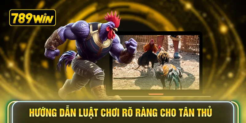Hướng dẫn luật chơi rõ ràng cho tân thủ