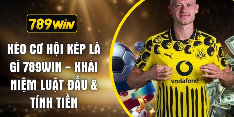 Kèo Cơ Hội Kép Là Gì 789WIN - Khái Niệm Luật Đấu & Tính Tiền
