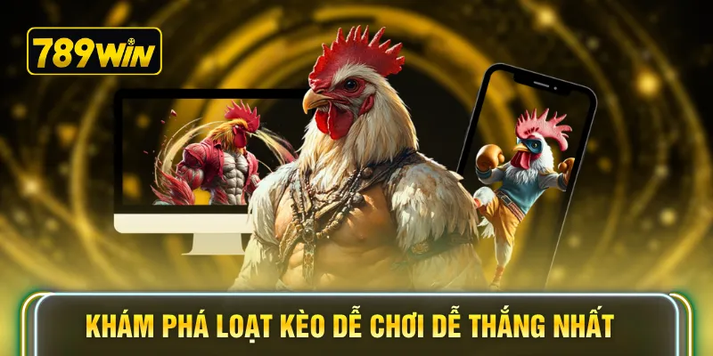 Khám phá loạt kèo dễ chơi dễ thắng nhất
