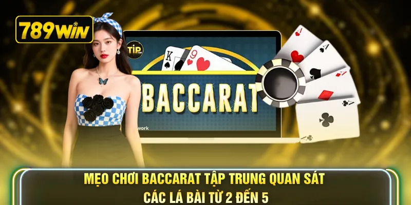 Mẹo chơi baccarat tập trung quan sát các lá bài từ 2 đến 5